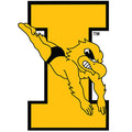 Iowa Hawkeyes Swim & Dive Decal