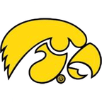 Iowa Hawkeyes Mutli Tigerhawk