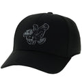 Iowa Hawkeyes Tonal Flying Logo Hat