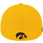 Iowa Hawkeyes Serge Flex-Fit Hat