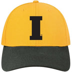 Iowa Hawkeyes Serge Flex-Fit Hat