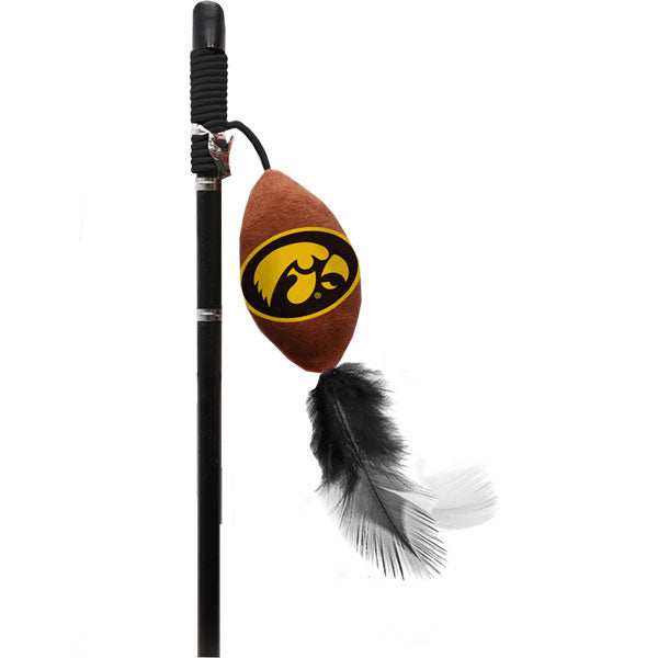 Iowa Hawkeyes Cat Wand