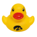 Iowa Hawkeyes Rubber Duck