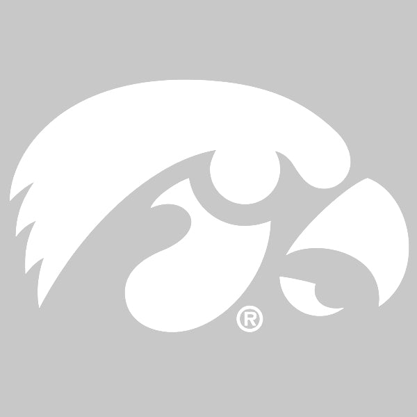 Iowa Hawkeyes Tigerhawk Mini Decal