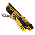 Iowa Hawkeyes 6' Leash