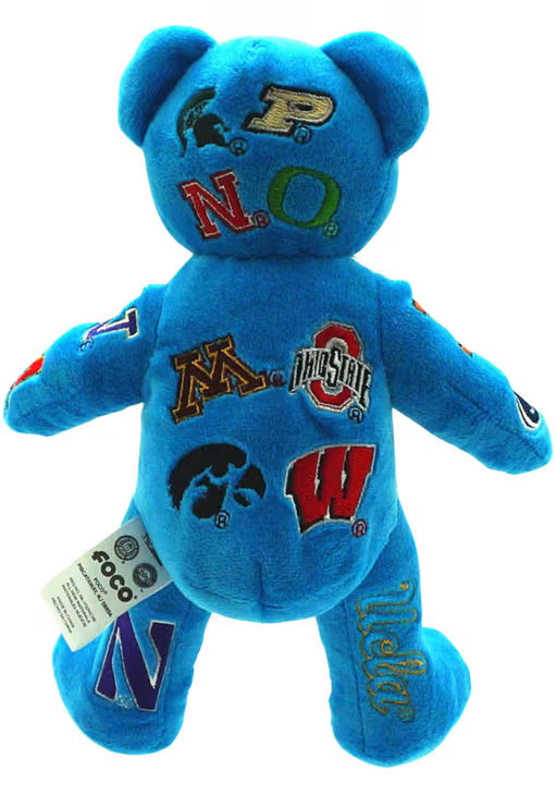 Thematic Bear Iowa B1G TEAMS