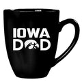 Iowa Hawkeyes Bistro Dad Cup