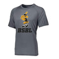 Iowa Hawkeyes Moisture Wick Herky over BSBL (Grey)