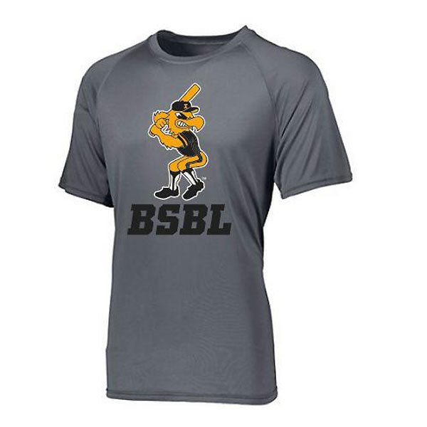 Iowa Hawkeyes Moisture Wick Herky over BSBL (Grey)