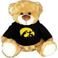 Iowa Hawkeyes Hooded Bear Stuffed Animal
