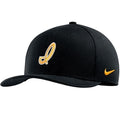 Iowa Hawkeyes Script Flex Cap