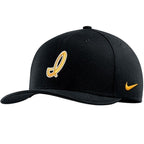 Iowa Hawkeyes Script Flex Cap