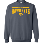 Iowa Hawkeyes Sunbird Crew