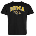 Iowa Hawkeyes Arch Logo Vintage Short Sleeve Tee