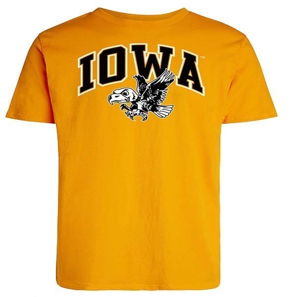 Iowa Hawkeyes Arch Logo Vintage Short Sleeve Tee