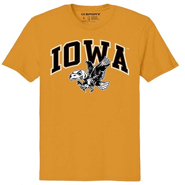 Iowa Hawkeyes Arch Logo Vintage Short Sleeve Tee