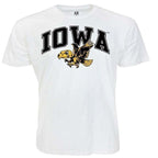 IOWA VERTICAL ARCH W/VIN LOGO