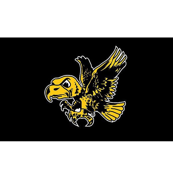 Iowa Hawkeyes Double Sided Flying Herky Flag