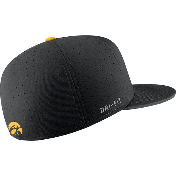 Iowa Hawkeyes Baseball True Fit Hat