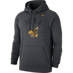 Iowa Hawkeyes Vault Hoodie