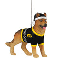 Iowa Hawkeyes German Shepard Ornament