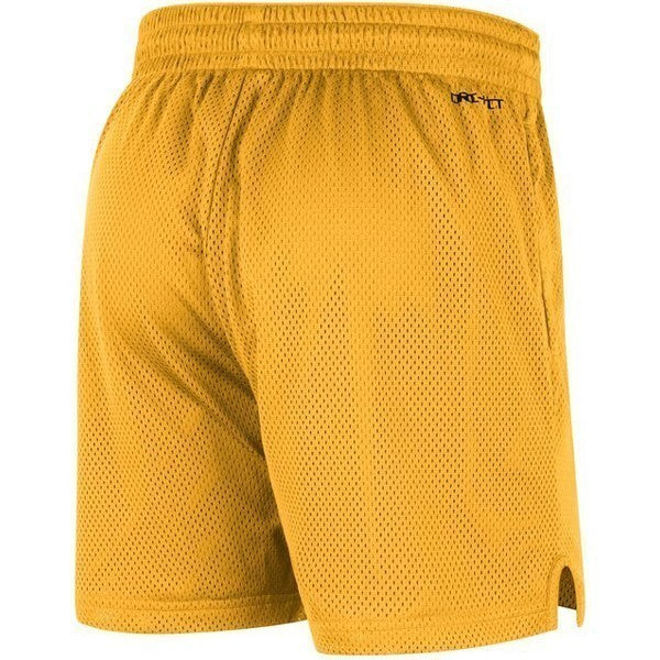 Iowa Hawkeyes Dri-Fit Shorts