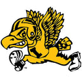 Iowa Hawkeyes Old School Flying Football Decal