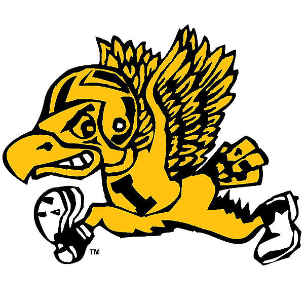 Iowa Hawkeyes Old School Flying Football Decal