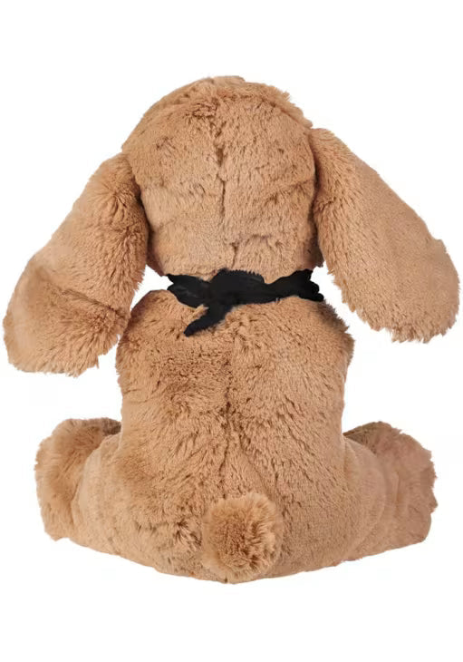 Iowa Hawkeyes 10" Floppy Ear Dog Collectible Fashion Plush
