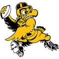 Iowa Hawkeyes Old School Football Decal