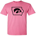 IOWA TIGERHAWK HEAD IN STATE
