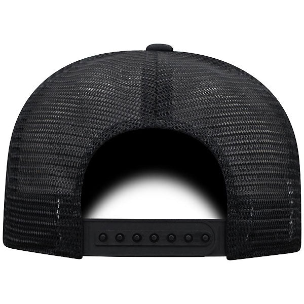 Iowa Hawkeyes Hayden Fry ANF Hat