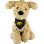 Iowa Hawkeyes Retriever Stuffed Animal