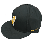 Dri Fit True Structure Black Fitted Cap Script I