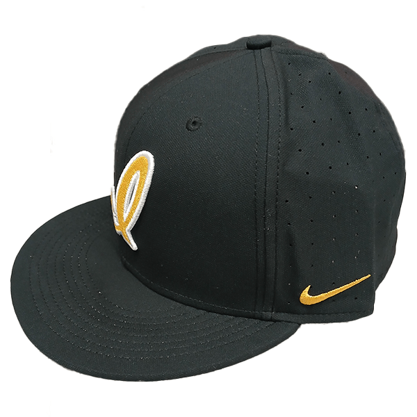 Dri Fit True Structure Black Fitted Cap Script I