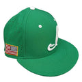 Iowa Hawkeyes True Structure Script "I" Fitted Hat