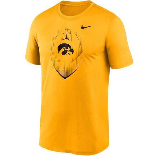 IOWA Football Icon DF