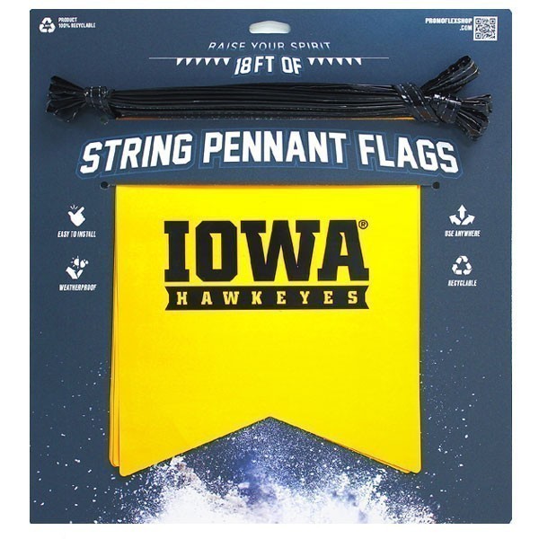 Iowa Hawkeyes String Pennant Flags