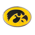 Iowa Hawkeyes Lapel Pin