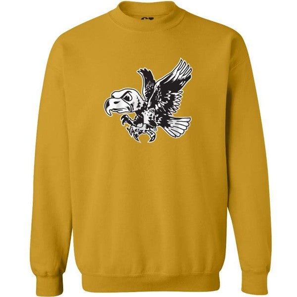 Iowa Hawkeye Flying Herky Crew