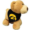 Iowa Hawkeyes Bear Stuffed Animal