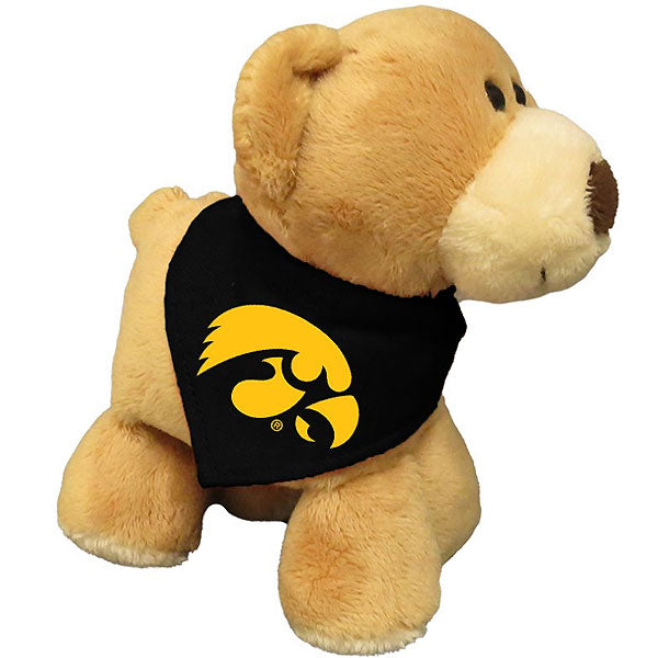 Iowa Hawkeyes Bear Stuffed Animal