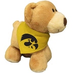 Iowa Hawkeyes Bear Stuffed Animal