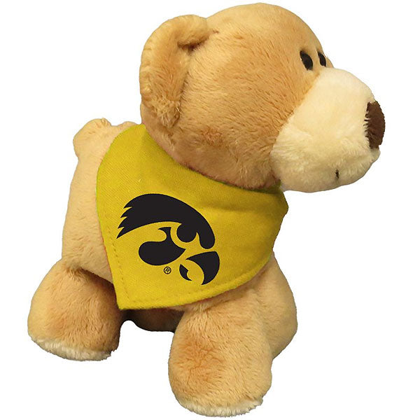 Iowa Hawkeyes Bear Stuffed Animal