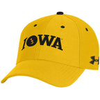 Iowa Hawkeyes ANF Stretch Cap