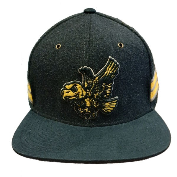 Iowa Hawkeyes Logo Big 3D  Wool Hat