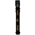 Iowa Hawkeyes Dog Collar