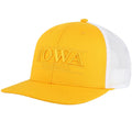 Iowa Hawkeyes Trucker Tonal Baseball Hat