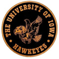 Iowa Hawkeyes Black Flying Hawk Wooden Magnet