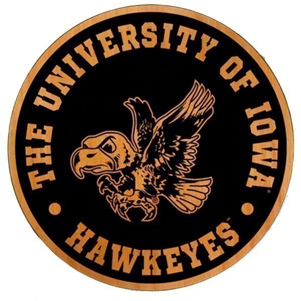 Iowa Hawkeyes Black Flying Hawk Wooden Magnet